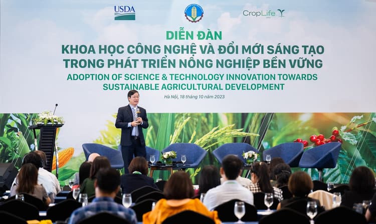 Tư vấn tái cấu trúc, chuyển đổi số