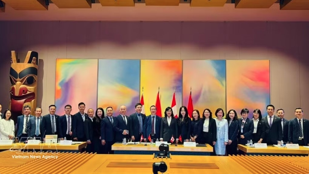 he Vietnamese delegation poses for a group photo at the third meeting of the Vietnam-Canada Joint Economic Committee (Photo: VNA)