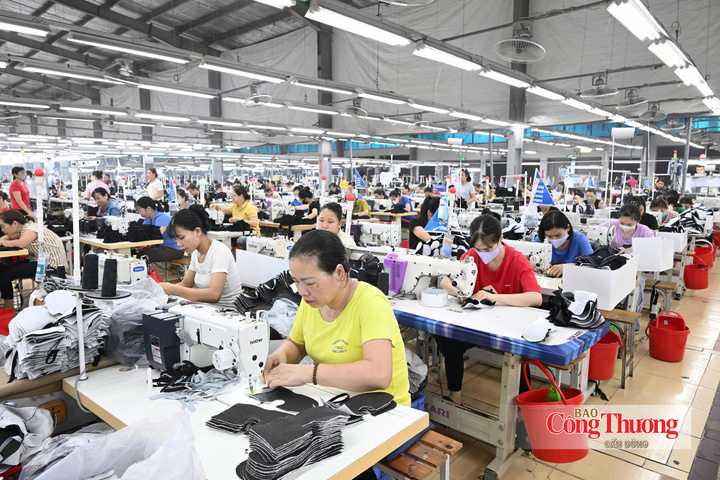 Dệt may là một trong những mặt hàng có lợi thế lớn khi xuất khẩu sang EU